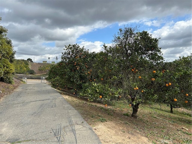 view of road