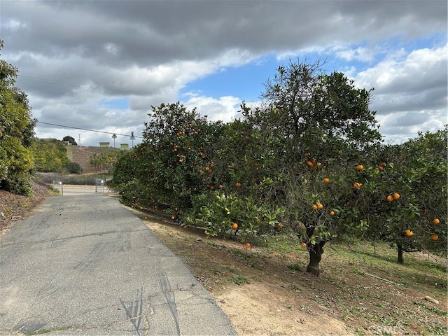 754 Rainbow Hills Rd, Fallbrook, CA 92028 - photo 2
