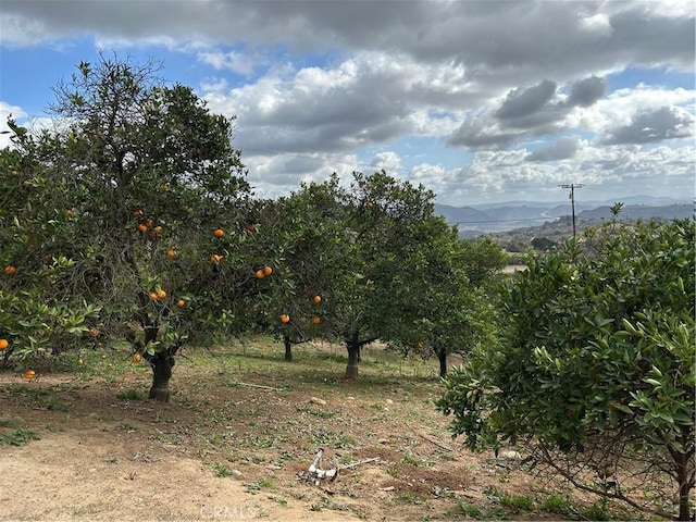 property view of mountains featuring a rural view