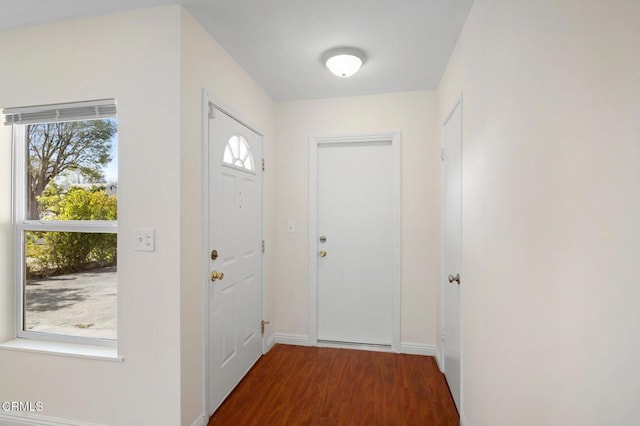 doorway featuring dark wood-type flooring