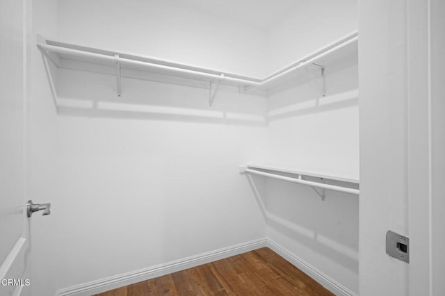 walk in closet featuring hardwood / wood-style floors