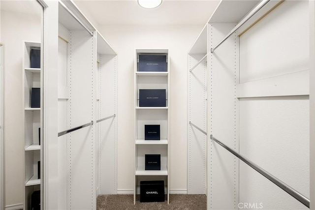 walk in closet with carpet flooring