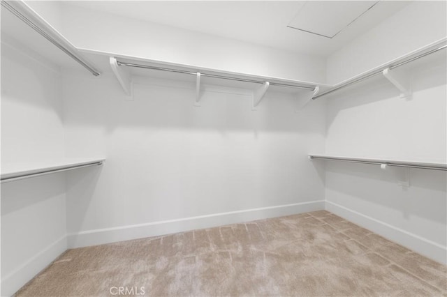 122 Appian Blvd, Irvine, CA 92602 - spacious closet with carpet