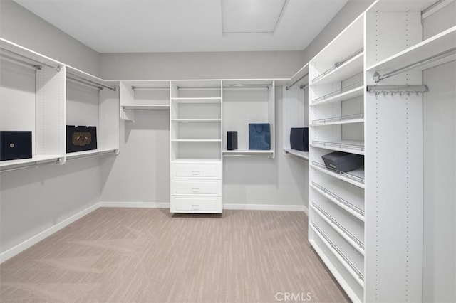 view of walk in closet
