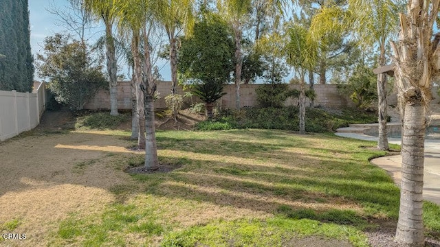 view of yard with a fenced backyard