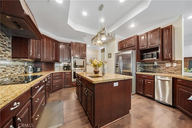 kitchen with a sink, ventilation hood, appliances with stainless steel finishes, a tray ceiling, and decorative light fixtures