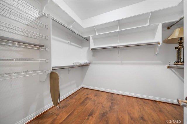 spacious closet featuring dark wood-type flooring