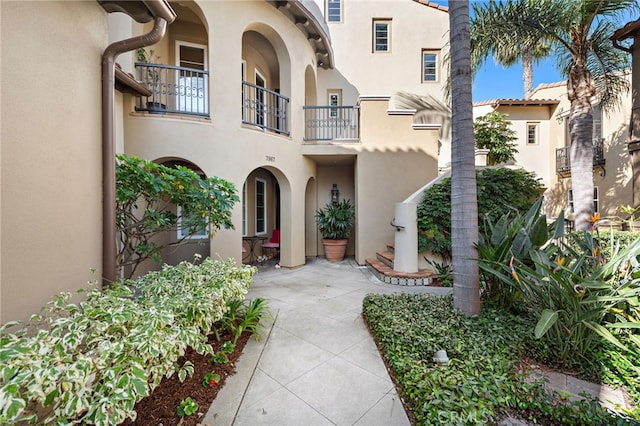 view of exterior entry with a patio and stucco siding