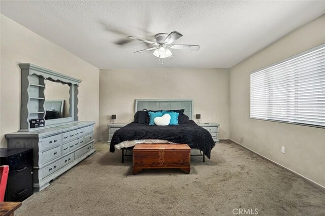 3162 Everlasting St, Hemet, CA 92543 - photo 23