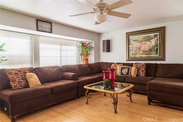 25084 Atwood Ave, Moreno Valley, CA 92553 - photo 26