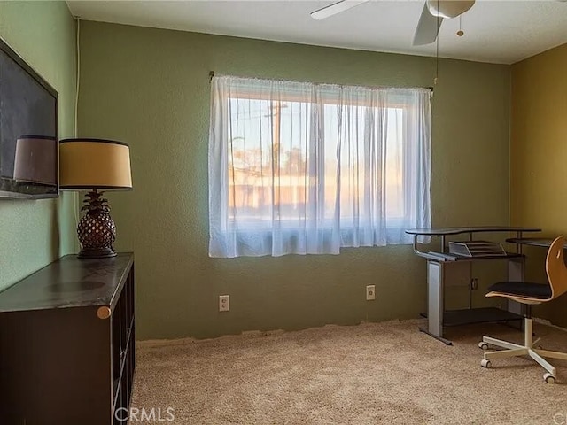 25084 Atwood Ave, Moreno Valley, CA 92553 - photo 14