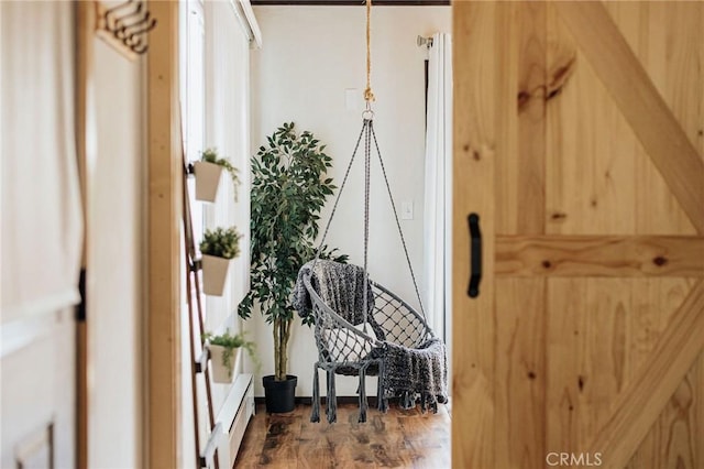 details featuring a baseboard radiator and hardwood / wood-style flooring