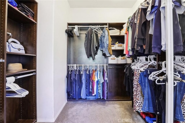 walk in closet featuring carpet