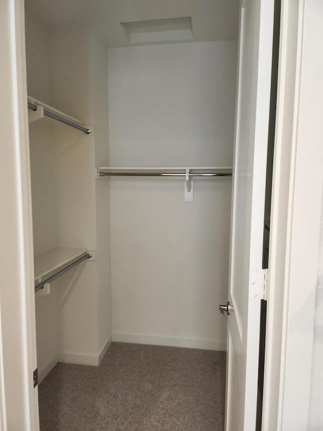 walk in closet with carpet floors