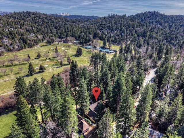 bird's eye view with a forest view