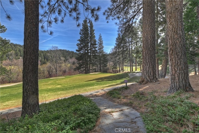 view of property's community with a view of trees and a yard