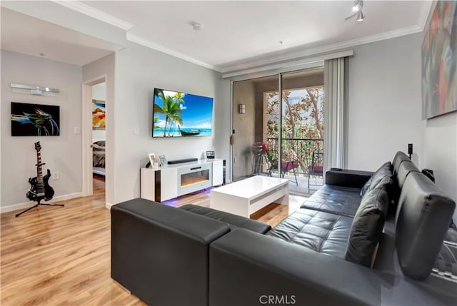 living room with baseboards, track lighting, wood finished floors, and crown molding