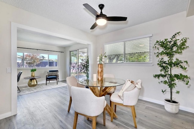 dining space with light hardwood / wood-style floors, ceiling fan, and a textured ceiling