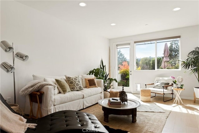 living area with wood finished floors and recessed lighting