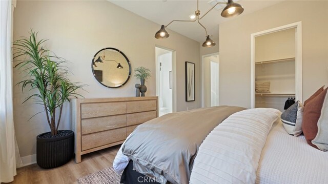 bedroom featuring light hardwood / wood-style flooring, a walk in closet, and a closet