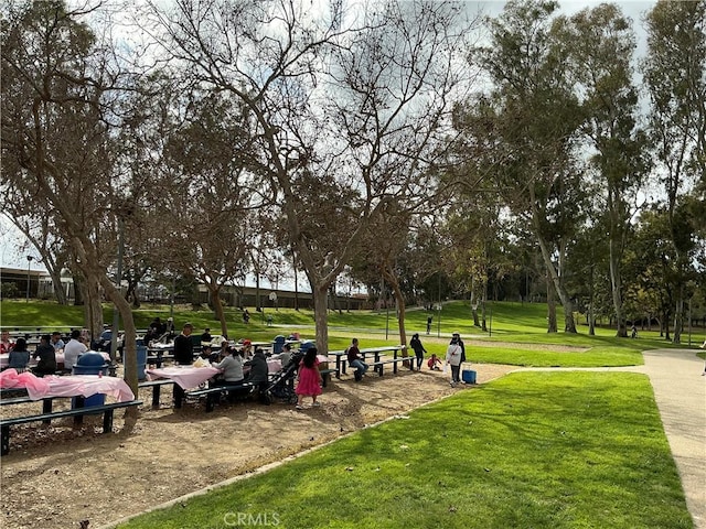 view of property's community featuring a yard