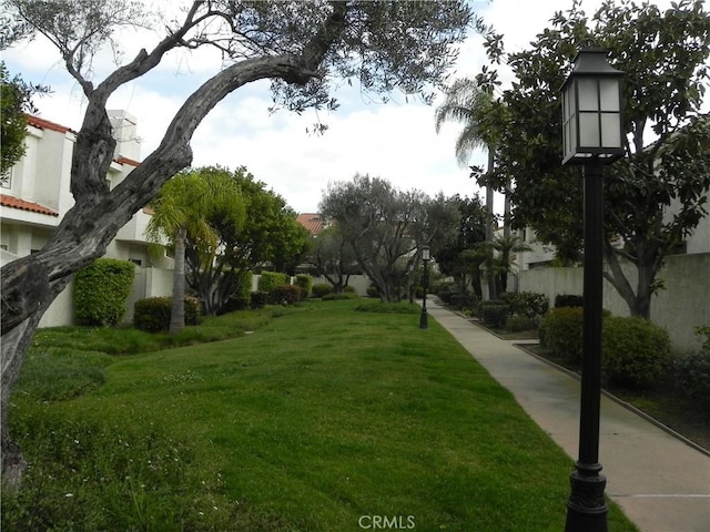 view of property's community featuring a yard