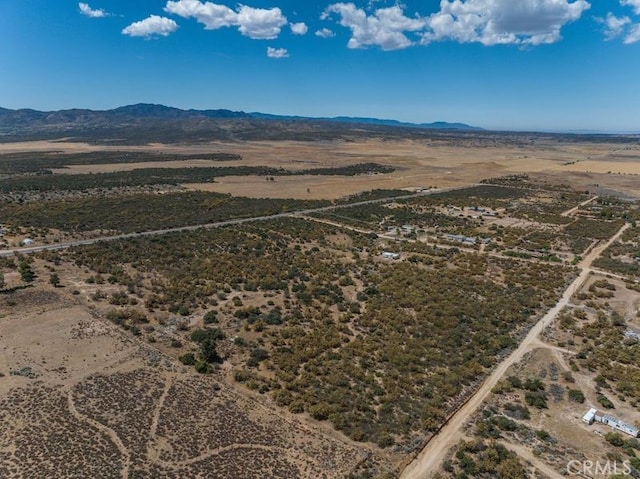 58650 Wellman Rd, Anza CA, 92539 land for sale