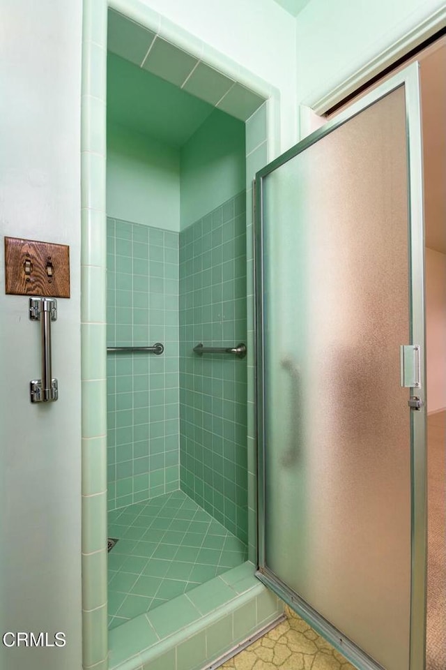 bathroom featuring a shower with door