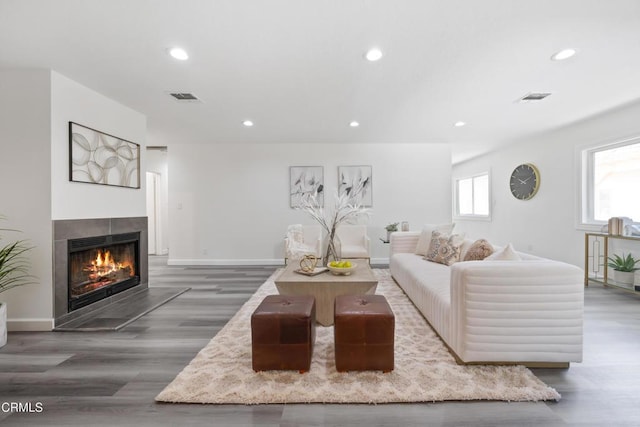 living room with hardwood / wood-style flooring