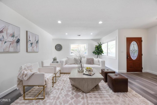 living room featuring light wood-type flooring