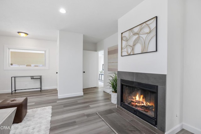 living room with a fireplace and hardwood / wood-style flooring