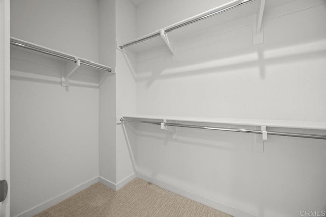 walk in closet featuring light colored carpet
