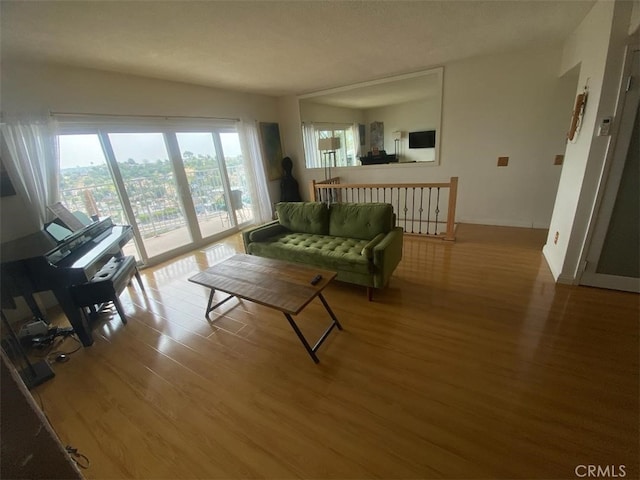 living room with wood finished floors