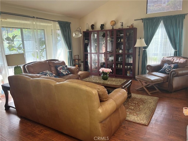 living room with hardwood / wood-style floors and vaulted ceiling