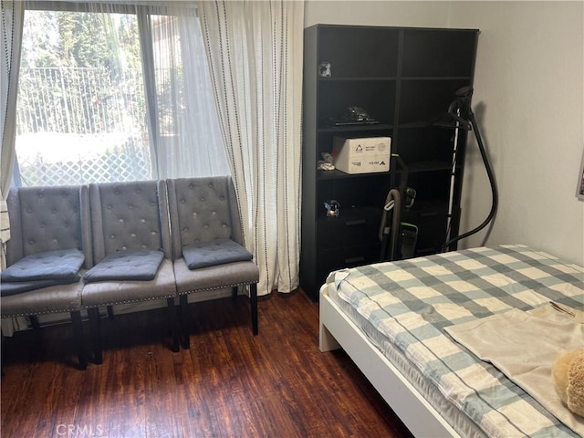 bedroom featuring dark wood-type flooring