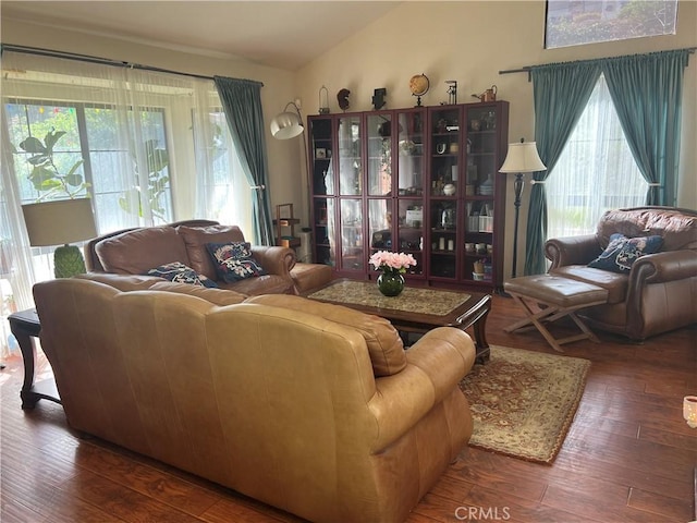 living room featuring vaulted ceiling and wood-type flooring