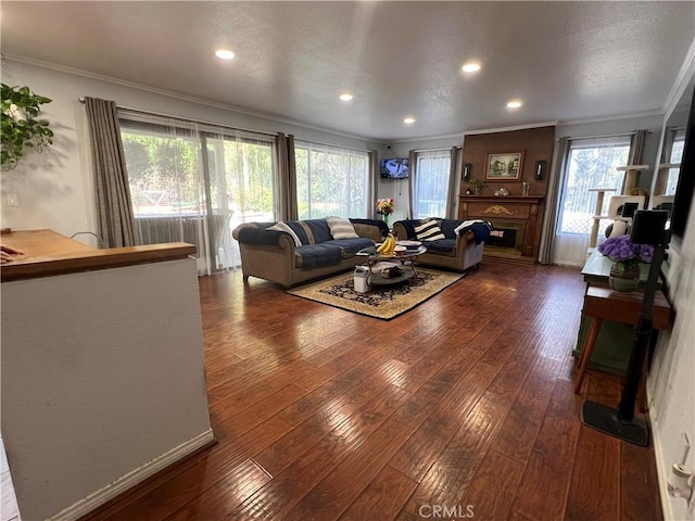 living room with crown molding, dark wood-type flooring, and a textured ceiling