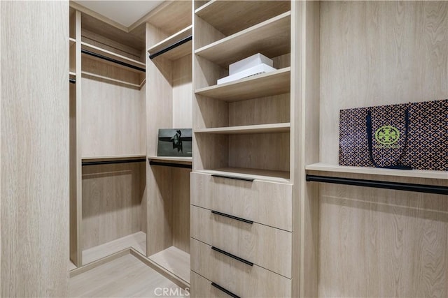 view of walk in closet