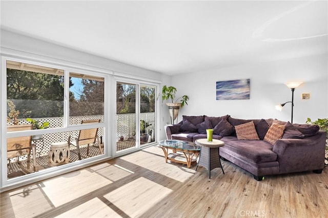 living area featuring light wood-type flooring