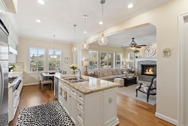 kitchen with ornamental molding, a healthy amount of sunlight, a sink, and stainless steel dishwasher