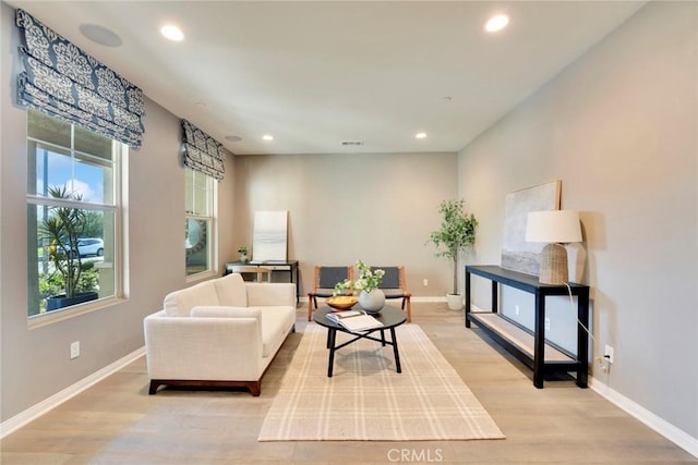 living room featuring light hardwood / wood-style flooring