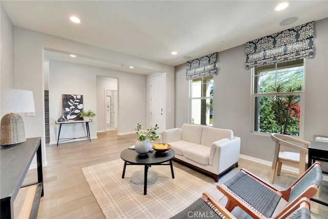 living room featuring light hardwood / wood-style floors