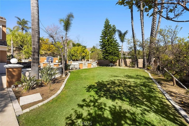 2503 N San Miguel Dr, Orange, CA 92867 - view of yard with area for grilling