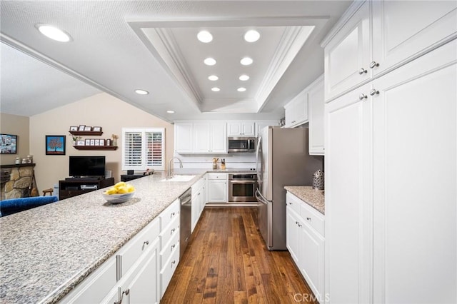 kitchen with light stone counters, a tray ceiling, dark hardwood / wood-style floors, stainless steel appliances, and white cabinets