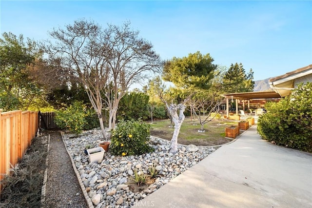 view of yard featuring a patio area