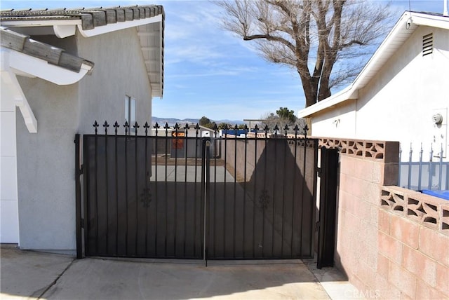 view of gate featuring a mountain view