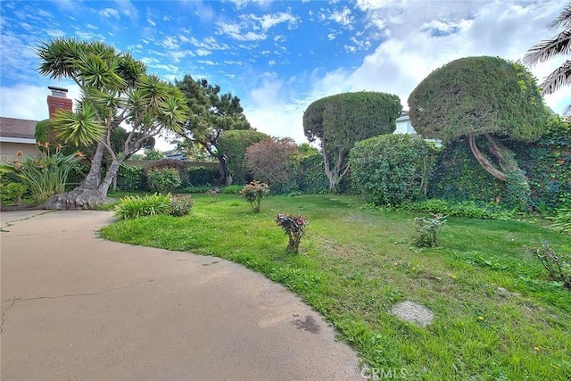 view of community featuring concrete driveway and a lawn