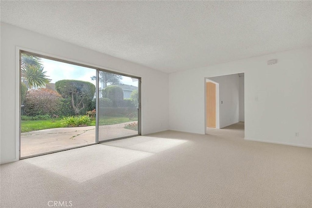 empty room featuring carpet and a textured ceiling