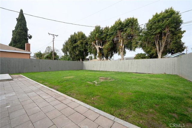 view of yard with a patio area and a fenced backyard