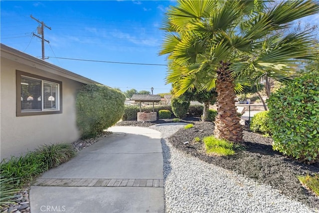 view of yard featuring a patio